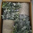 Flojery Mini Potted Plants Artificial Eucalyptus Boxwood Rosemary Faux Herbs Small House Plants 8.3"-9" Tall for Indoor Greenery Tabletop Dcor Centerpiece (Sprayed Eucalyptus)