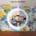 Ring Light Overhead Camera Phone Mount for Desk Tripod - 10" Ring Light with Stand for iPhone - Sturdy Selfie Ringlight with Clamp for Artist,Drawing,Video Recording,Live Streaming,Content Creation