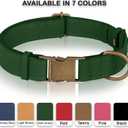 AirTag Dog Collar - Genuine Leather Dog Collar with Apple AirTag Holder and Metal Buckle - Smart GPS Tracking Pet Collars (Dark Green, M, 14"-18" Neck Fit)