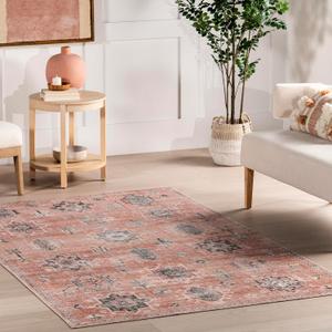 nuLOOM Krystin Medallion 4x6 Machine Washable Area Rug for Living Room Bedroom Dining Room Kitchen, Pink/Grey