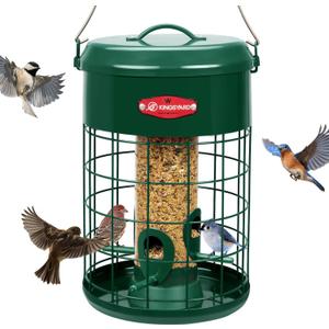 Kingsyard Upgraded Metal Squirrel Proof Caged Bird Feeder for Outdoor Hanging, 4 LBS Large Capacity Tube Bird Feeder with 4 Feeding Ports & Perches, Weatherproof Seed Tray, Green
