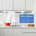 Range Hood Insert 30 inch,Stainless Steel Kitchen Vent Hood 600CFM,Built-in Kitchen Stove Hood w/Front Button Controls and Front LED Lights,Baffle Filters,Ducted/ductless Convertible Duct