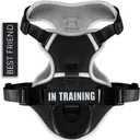 No Pull Dog Harness, Reflective Dog Vest Harness with Front & Back 2 Leash Clips, Oxford Pet Harness Adjustable Soft Padded Dog Vest with Easy Control Handle for Small Medium Large Dogs (Small (Pack of 1), Black)