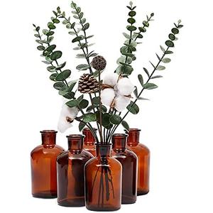 Farmlyn Creek 6 Pack Small Glass Vases for Centerpieces, Amber 7.5 oz Propagation Jars for Flowers, Table Centerpieces, Apothecary, Home Decor (2.8 x 5 in)