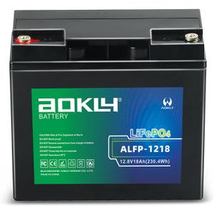 12V 18Ah Lithium LiFePO4 Battery, 4000+ Cycles, Built-in 18A BMS for UPS Backup Power, Fish Finder, Camping Lighting