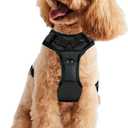 Padded Reflective Dog Harness, Lightweight Ripstop Dog Harness, Adjustable Outdoor Pet Harness for Small Dogs