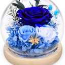 FIACO Preserved Rose Birthday Gift for Women Forever Fresh Flowers for Prime Delivery Gift for Mom Grandma Wife Valentines Mothers Day Christmas Anniversary Eternal Roses in Glass Dome (Dark Blue)
