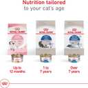 Royal Canin Feline Health Nutrition Indoor Adult Dry Cat Food, 7 lb Bag (7 Pound (Pack of 1))