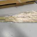 Decorative Tall Pampas Grass for Floor Vase Premium Large Pampas Grass Decor Tall, 17"-40" Pampas Grass Stems, Dried Pampas Grass Decor Tall, Natural Pampas Grass with Beige Decor and Boho Feathers