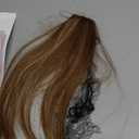 REECHO Clip in Hair Volumizer, 2PCS 12 inch Short Thick Clip in Hairpieces Adding Extra Volume Hair Extensions for Women (Golden Brown with Highlights)