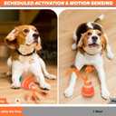 Interactive Dog Toy, Motion-Activated & Automatic Rolling, USB Rechargeable Smart Dog Ball with Teaser Rope & Squeaky Sound for Small & Medium Dogs, Puppy Stimulation Toy Orange & Blue (Orange)