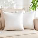 Organic Feather Down Throw Pillow Inserts (22x22 Inch, Set of 2) - 100% Cotton Shell, Filling of Feathers & Memory Foam, Square Decorative Pillow Form Core for Couch, Sofa, and Bed