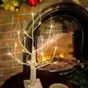 Lighted Birch Tree, White Birch Tree Lights Timer Warm White Artificial Branch Tree for Home Easter Christmas Wedding Table Decor Gifts