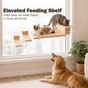 Cat Window Perch, Strong Suction Cups, Cat Window Hammock & Feeding Shelf