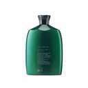 Oribe Eternal Curls Shampoo - Hydrating & Smoothing Shampoo for Thick & Coarse Hair - Strengthens & Nourishes Curls - Adds Softness, Shine & Tames Frizz - For All Curl Types - 8.5 oz