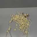 GXXMEI 20PCS 6 Inch Mini Skeleton Figurines, Small Skeletons Halloween Decorations for Craft Haunted House Accessories Party Favors (20)