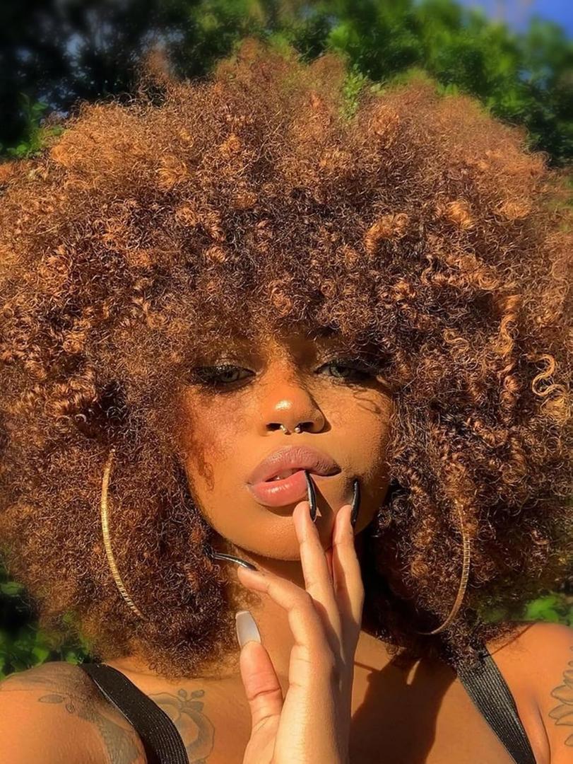 Afro Wig 14Inch Afro Wigs for Black Women 70s Mixed Brown Afro Kinky Curly Wig Bouncy Huge Fluffy Puff Wigs Synthetic Hair for Cosplay Daily and Party (Mixed Brown)