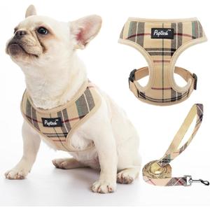 PUPTECK Soft Mesh Dog Harness and Leash Set Pet Puppy Cat Comfort Padded Vest No Pull Harnesses, Beige, S (S (NECK: 12", CHEST: 14"-18"))