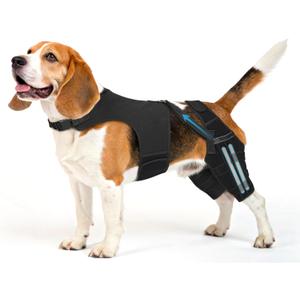 Dog Knee Brace for Hind Leg Support Dog Leg Brace with Metal Stabilizers for Dogs with Torn ACL, Luxating Patella, Ligament Injuries & Hip Dysplasia, Limping or Osteoarthritis Recovery, M