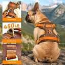 No-Pull Reflective Dog Harness with Handle – Soft Padded Vest for Dogs Heavy Duty Adjustable Anti-Choke Pet Harness with Front & Back Clip Harness for Walking, Training XS