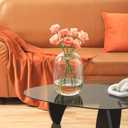 Large Glass Vase, 10 Inches Tall Glass Vases, Clear Glass Vase for Flower, Modern Round Vases for Living Room, Dining Table, Mantle, Shelf, Wedding, Office, Entryway