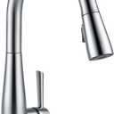 Delta Essa Brushed Nickel Kitchen Faucet with Pull Down Sprayer, Modern Single Hole Kitchen Sink Faucet, Single Handle, Arctic Stainless 9113-AR-DST