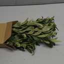 Olive Stems 6 Pcs 18 inch Artificial Olives Green Leaves Picks, Spring Branches Decor for Vase, Greenery Vase Filler Home Decoration Indoor