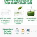 Barley Grass Juice Powder | Rich in Vitamins, Minerals, Fibers & Antioxidants | Raw, Clean & Alkalizing Superfood for Energy, Immune Health, and Digestion - 5.3 OZ