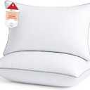 Sasttie Pillows Queen Size Set of 2, Bed Pillows for Side, Back, and Stomach Sleepers - Oeko-Tex Certified Down Alternative Plump Filling - Hotel Quality and Machine Washable, 2 Pack