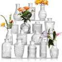 Glass Bud Vases Set of 16 - Assorted Small Mini Glass Vases for Flowers, Crystal Vintage Vase Set, Bulk Centerpieces for Table Dcor, Wedding, Home and Events (Clear, 16 Pcs)