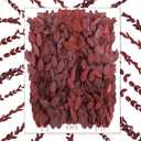 100 Pcs Pressed Dried Eucalyptus Leaves 6 Inch 100% Natural Preserved Real Eucalyptus Stems Dried Greenery for DIY Crafts Resin Art Invitations Scrapbook Card Gift Decoration (Red)