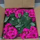 Hananona 6 Pcs Artificial Geranium Flowers for Outdoors Geraniums Silk Flowers Outdoor UV Resistant Garden Plants Faux Flowers for Home Kitchen Table Centerpieces Decor (6, Rose Red)