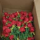 Jexine 120 Pcs Artificial Rose Flowers Bouquet Bulk Silk Realistic Fake Flowers for Wedding Anniversary Bridal Bouquet DIY Floral Arrangement Romantic Home Decor Gifts(Red)