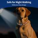 2 x Kazazoo Reflective Dog Collar with Soft Padding Dog Collar for Medium & Small Dogs, No Pull, Heavy Duty, Adjustable Nylon Collar with Quick-Release Buckle, Walking Training-Orange-XS