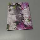 3 x Kitten Calendar 2026 Cat Kitty Gifts Monthly Wall Calender 12 Month | American Made In The USA