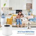 2 Pack Core Mini Filter H13 True HEPA Filters for LEVOIT Core Mini Core Mini-P Air Purifier Replacement Filter 3-in-1 HEPA, High-Efficiency Activated Carbon, Replace Part Core Mini-RF