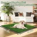 Dog Grass Pad,51.2x31.5In Fake Grass for Dogs,Artificial Grass Pee Pad for Puppies Potty Training Indoor Outdoor