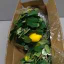 U'Artlines 2Pcs Total 11 Ft Artificial Lemon Garland Spring Summer Faux Fruit Vine Garlands with Greenery for Door Wall Mantle Wedding Party Table Decorations (5.7 Ft)