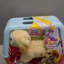 Little Live Pets Ouchies Cooper The Retriever Puppy, 50+ Sounds, Limping to Walking Puppy Toy with Vet Carrier, Interactive Toy Dog for Kids Ages 5+