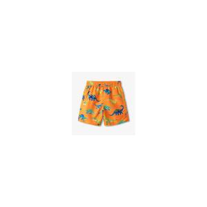 Boys Colourblock Dino Swim Shorts Size 10/12
