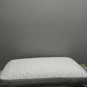 Sealy Molded Bed Pillow for Pressure Relief, Adaptive Memory Foam with Washable Knit Cover, Standard, 16x24x5.75 Inches, White, Grey