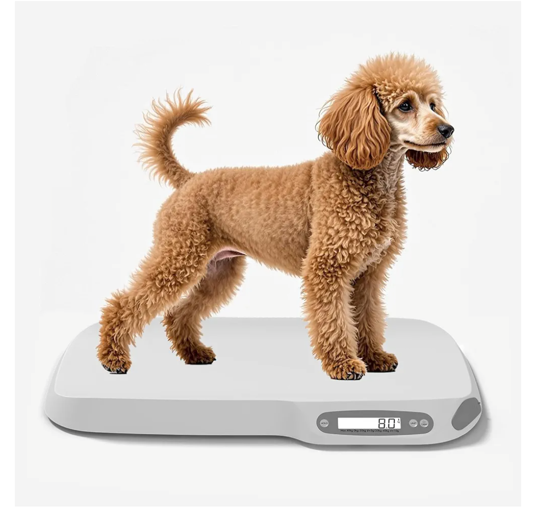 Dog Scale for Small Dogs, cat Scale,Digital pet Scale for Weighing,Measuring Range:40g-88Lb,Suitable for Puppy and Kitten to Adult Animals White