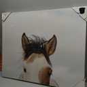 JLA Home It's in the Eyes Printed Canvas 28 x 22 in