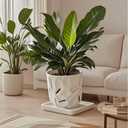 Square Plant Saucer 12 Inch 1 PackPlant Trays for Pots, White Ceramic Plant Saucers for Indoors Outdoors, Plant Drip Tray 4 6 8 10 12 14 Inch