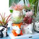 Melphoe 6Pcs Air Plant Holders Cartoon Shaped Small Succulent Pot Animal Planter Small Ceramic Pot Drainage for Mini Plant Cactus Flower, Tillandsia Air Fern, Display Stand Home, Office Desktop