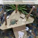 Tfwadmx Turtle Basking Platform, Floating Turtle Dock, Turtles Platform for Aquarium, Aquatic Juvenile Turtles, Frogs, Crabs (Medium)