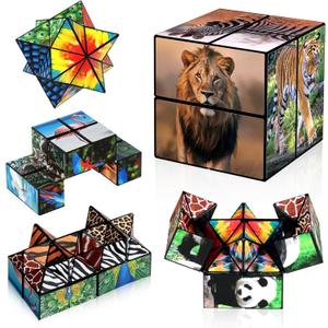 2 in 1 Star Cube Magic Cube Set, Fidget Toy for Kids, Animal Toys for Ages 8-13, Travel Yoshimoto Cube for 6 7 8 9 10 11 Year-Old Boy Girls Gifts