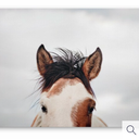 JLA Home It's in the Eyes Printed Canvas - 28 x 22 in