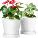 BUYMAX Plant Pots Indoor 6 inch Ceramic Flower Pot with Drainage Hole and Ceramic Tray - Gardening Home Desktop Office Windowsill Decoration Gift, Set of 2 (White)