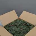 Artificial Cedar Christmas Garland Real Touch Realistic Soft and Thickness Garland Faux Full Greenery Holiday Garland for Mantel Fireplace Front Door Indoor Outdoor Xmas Decor (6FT-Lush Cedar)